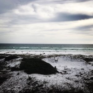 Meet your Posher, Bernice